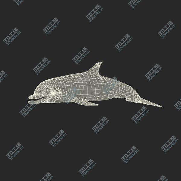 images/goods_img/20210312/Dolphin Rigged for Cinema 4D/4.jpg